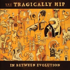 The Tragically Hip : In Between Evolution Vinyl Record