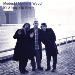 Medeski Martin & Wood : It A Jungle In Here Vinyl Record
