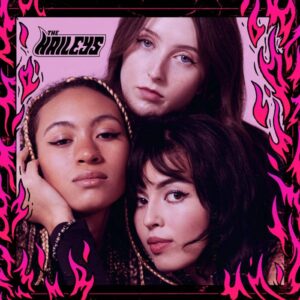 The Haileys : S/T Vinyl Record