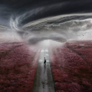Dylan Fraser : The Storm Vinyl Records