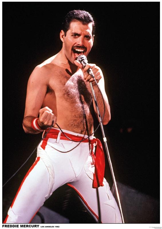 Queen Freddie Mercury Poster