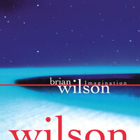 Brian Wilson - Imagination (RSD)
