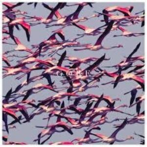 Deftones : Gore Vinyl