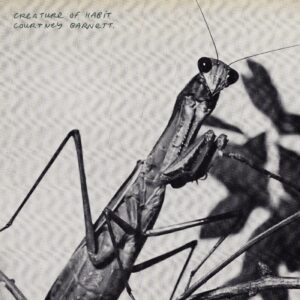 Courtney Barnett  / Creature of Habit (INDIE EXCLUSIVE, CARAMEL VINYL)
