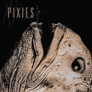 Pixies Complete B Sides: 1988-97 (Remastered)