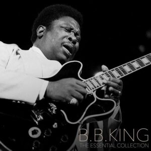 B.B. King – The Essential Collection Vinyl LP Compilation