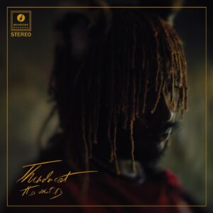 Thundercat / It Is What It Is Red Vinyl