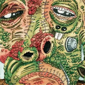 Ween – Shinola: Vol. 2 (2LP/Brown Vinyl)